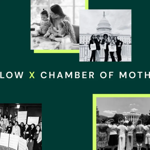 Willow X Chamber of Mothers